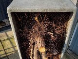 20230421_083103.jpg
