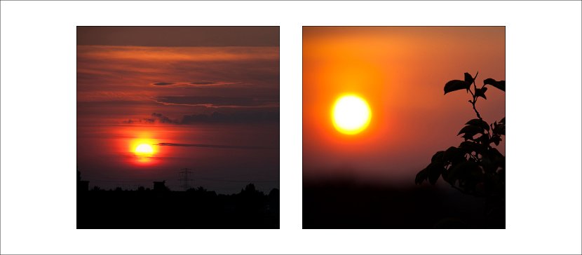 20110612 morgenstimmung collage