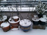 20160105_073327.jpg